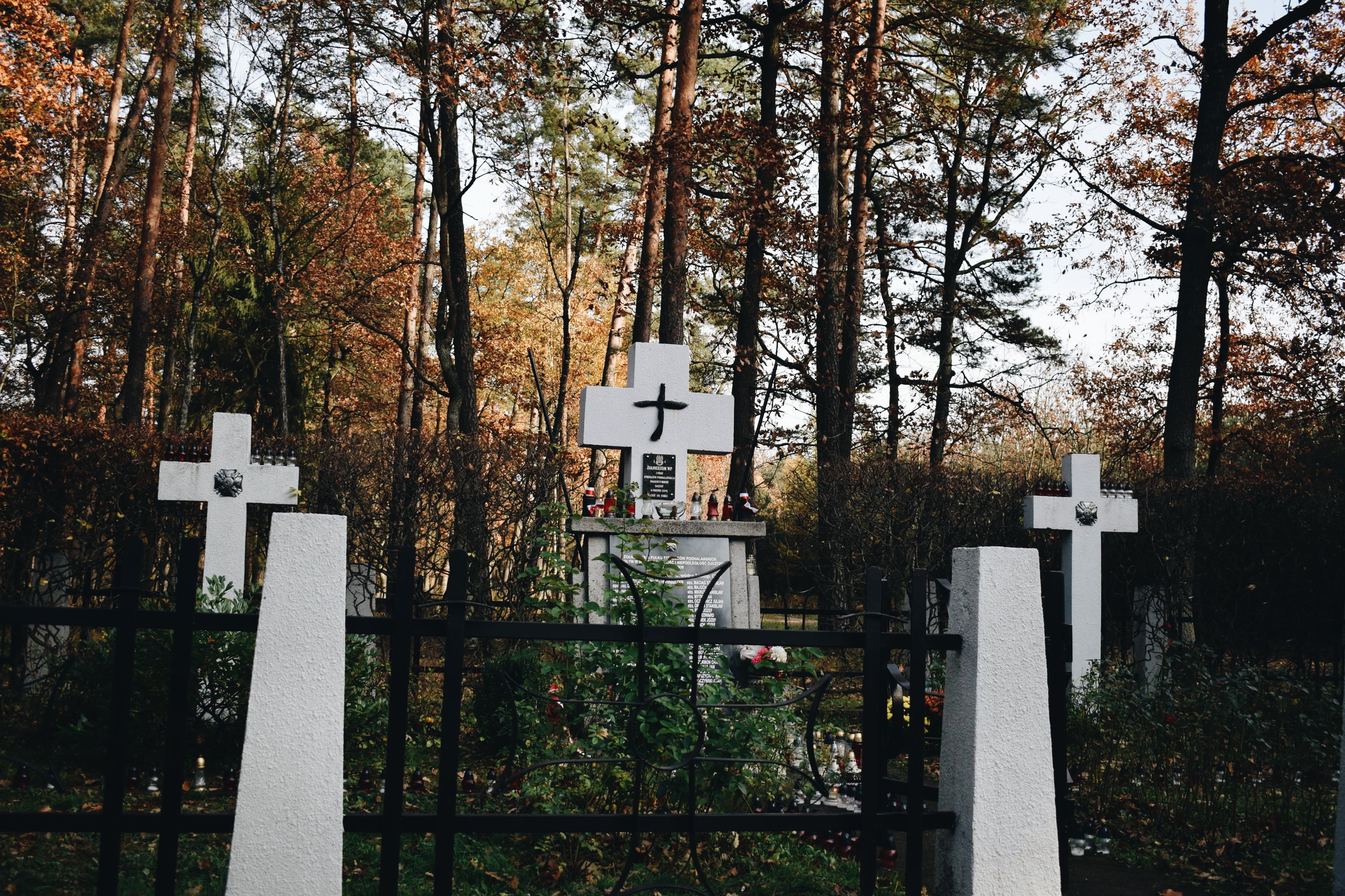cmentarz wojenny w puszczy niepołomickiej